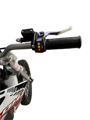 Picture of DHZ 2200E 2200W Electric Dirt Bike